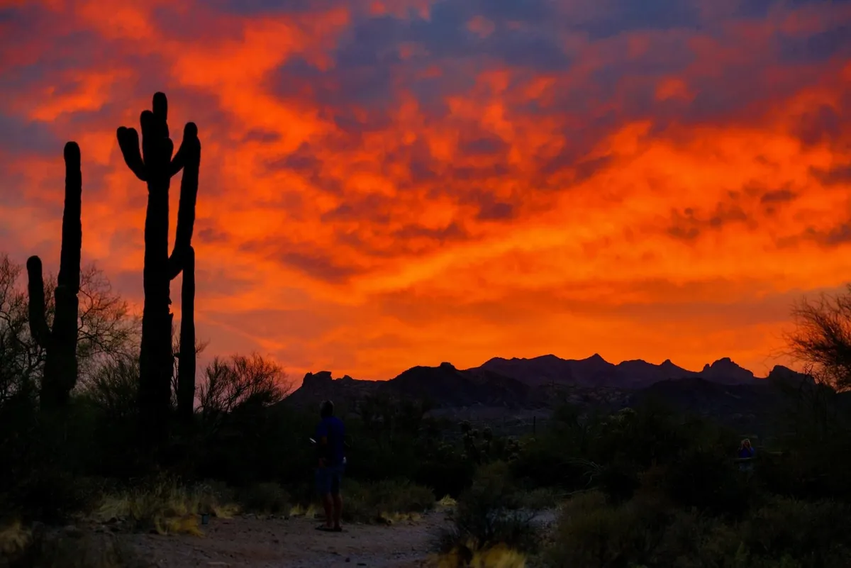 A scenic exterior scene with tall cacti, a vibrant sunset sky, and a person strolling along a nature path. The view exudes tranquility and connection to the outdoors, inviting exploration and reflection.